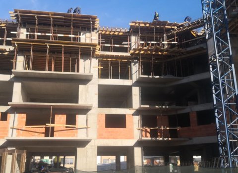 Maia Teilor | Studio | Zona ULTRACENTRALA