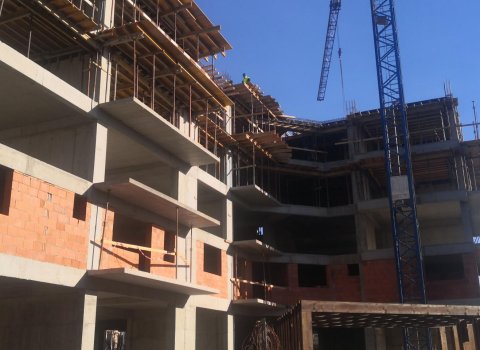 Maia Teilor | Studio | Zona ULTRACENTRALA