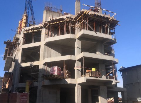 Maia Teilor | Studio | Zona ULTRACENTRALA