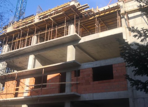 Maia Teilor | Studio | Zona ULTRACENTRALA