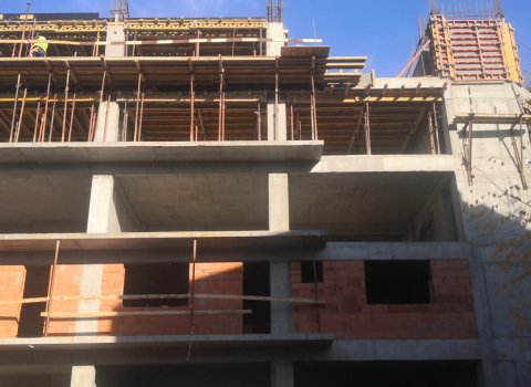 Maia Teilor | Studio | Zona ULTRACENTRALA