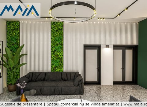 Spatiu Comercial Stradal Calea Bucuresti | Craiova | Vis-A-Vis Mall